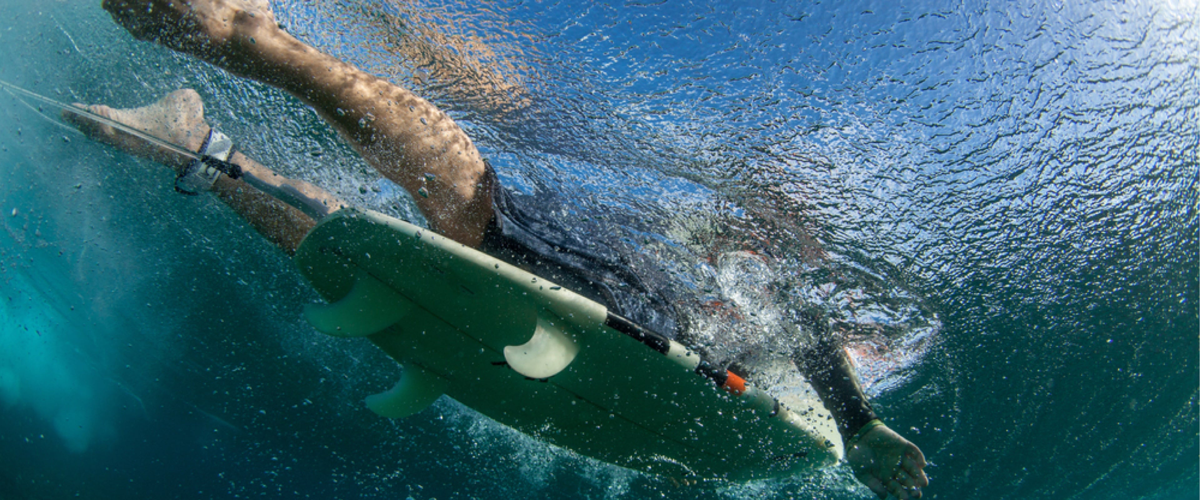 Pantothenic Acid What is It and What Does It Do? Codeage