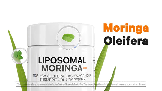 Discover the Power of Liposomal Moringa+ with Turmeric & Ashwagandha