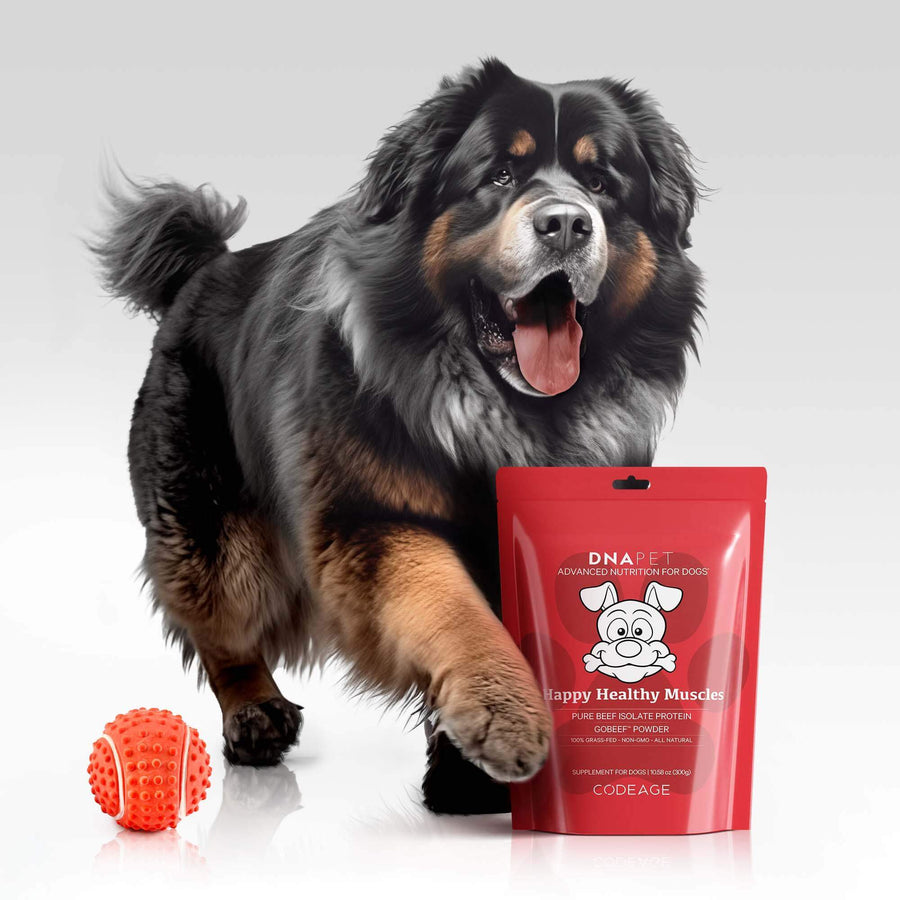 DNA PET Happy Healthy Muscles for dogs supplement dogs
