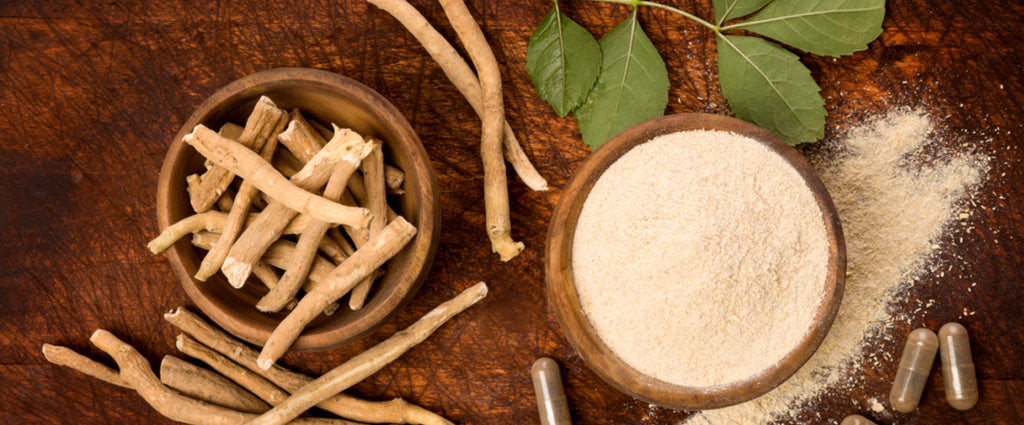 The Benefits of Ashwagandha: An Ancient Herb for Modern Times