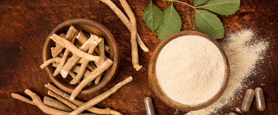 The Benefits of Ashwagandha: An Ancient Herb for Modern Times