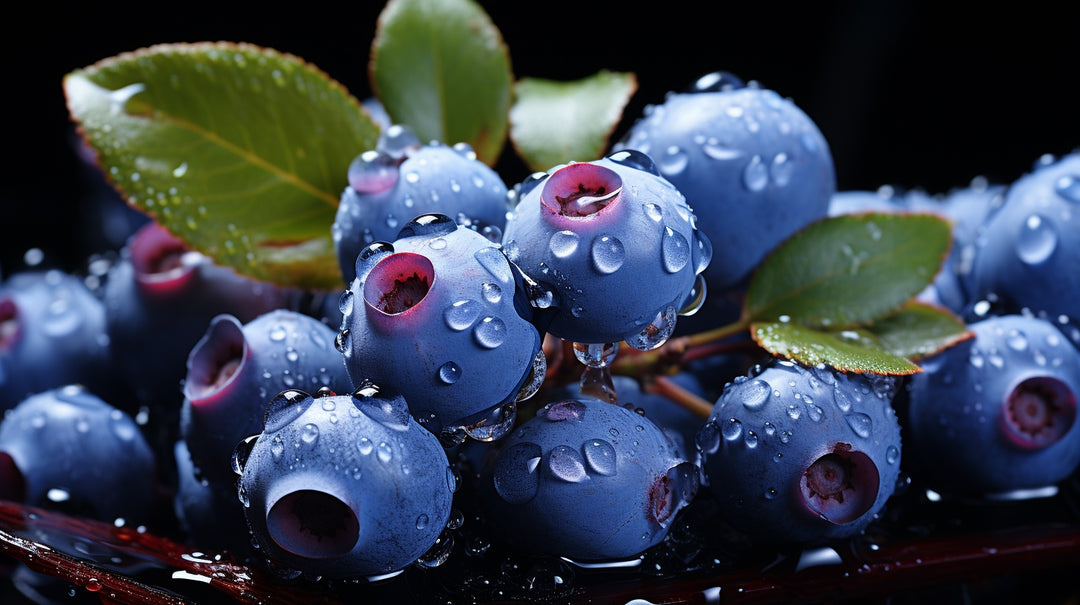 Blueberries: Nature's Nutritive Jewels and Beyond