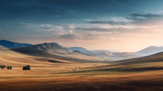 Beef Placenta: A Timeless Ingredient with a Rich Biological Heritage