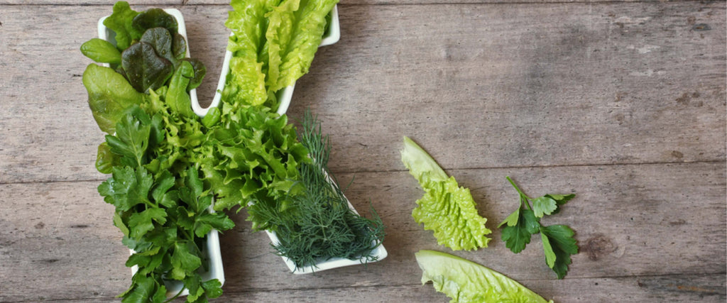 Vitamin K - Information, Use, Benefits