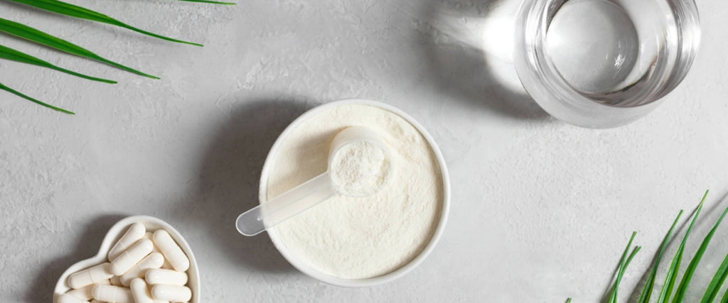 An Introduction to Collagen Peptides