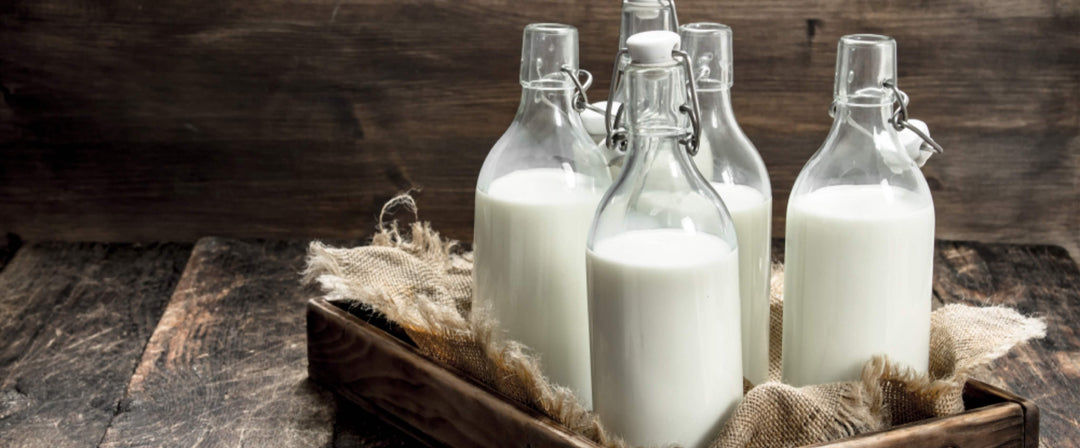 Calostro: explorando los beneficios y fuentes de la primera leche