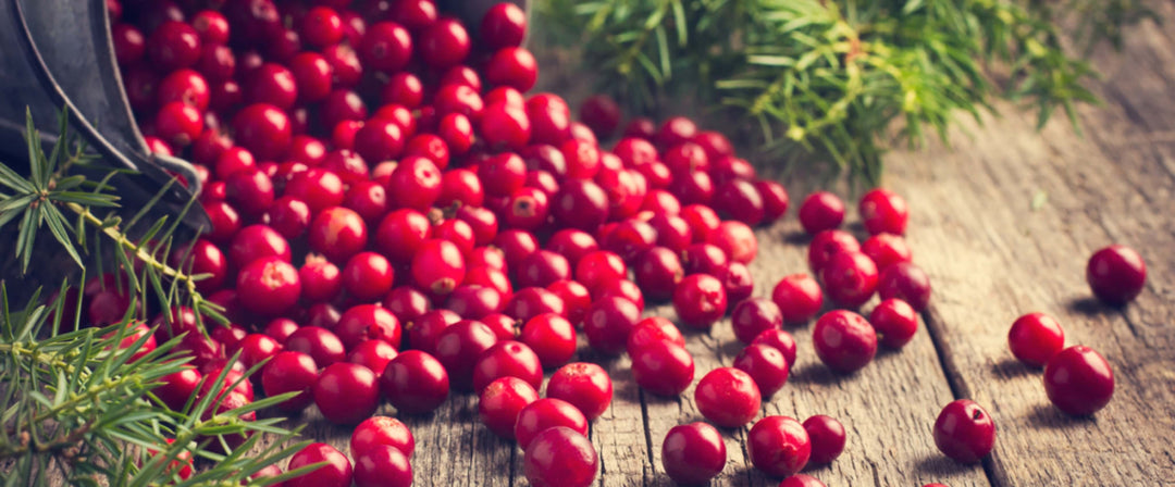 Cranberry Craze: superestrella de nutrición, vitaminas y suplementos 