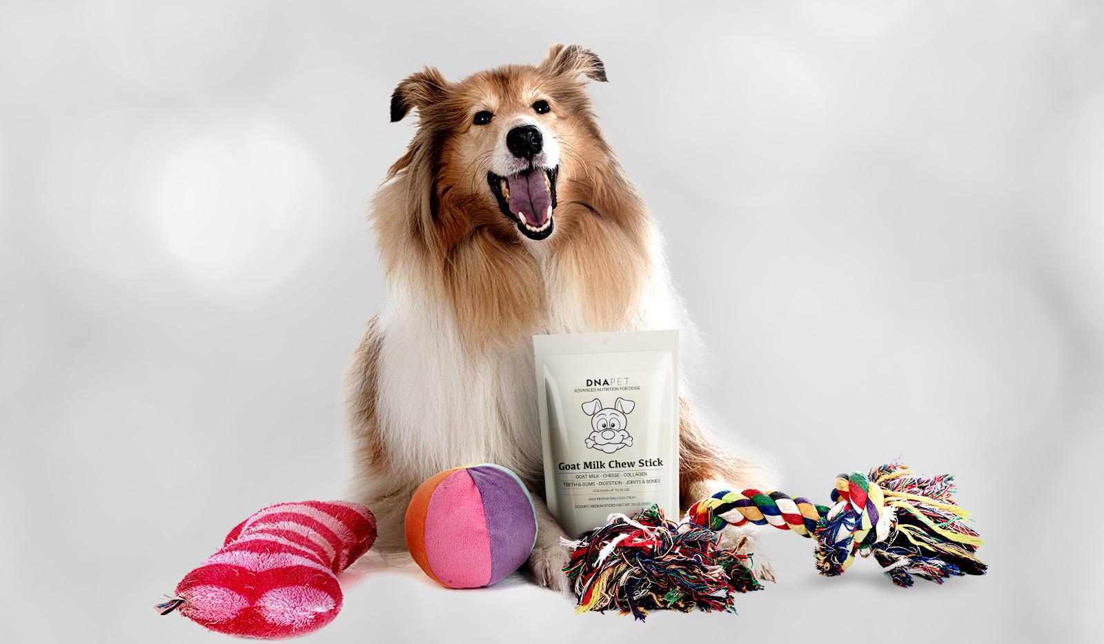 Introducing DNA PET Goat Milk Chew Stick For Dogs - Codeage