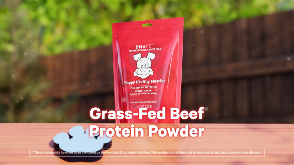 Poudre Happy Healthy Muscles pour chiens avec protéines de bœuf nourries à l'herbe pour toutes les étapes de la vie