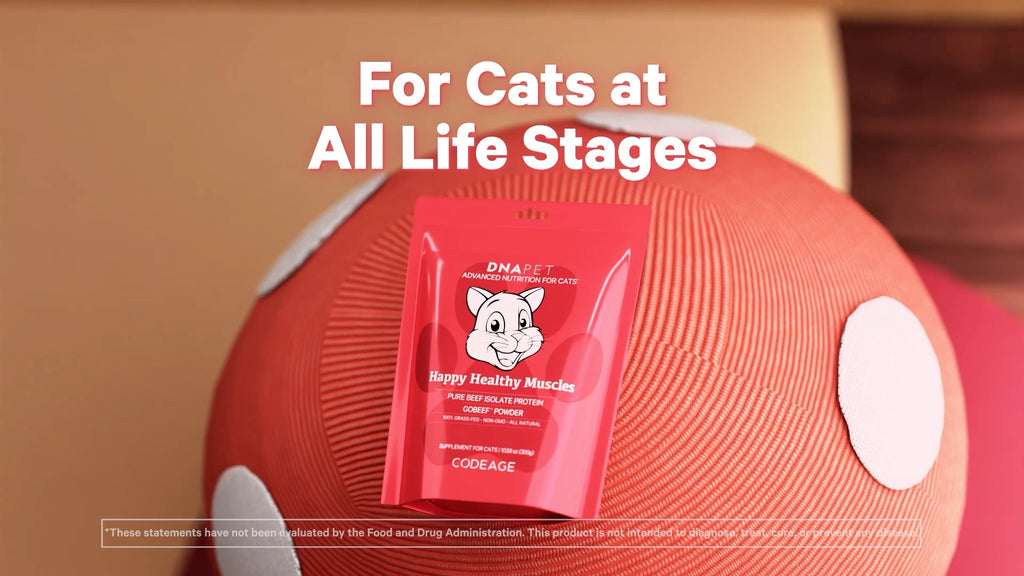 Grass-Fed Beef Isolate Powder with GoBeef™️ for Feline Muscle and Vitality Support
