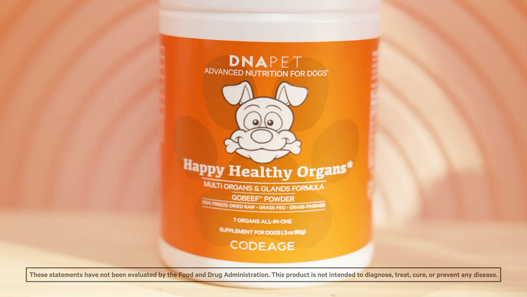 Multi Organs Supplement for Dogs