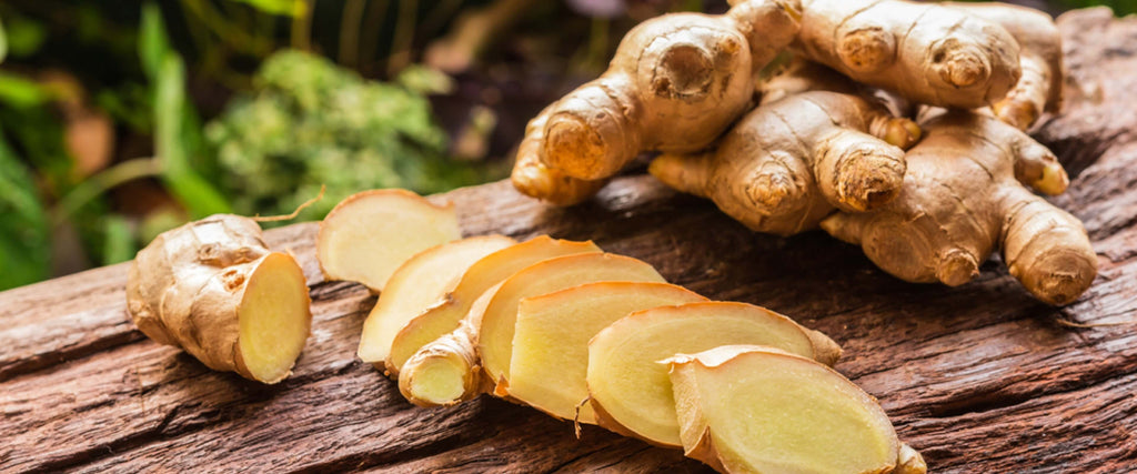 Exploring Ginger and Turmeric: A Look at Two Spices and their Supplement Forms