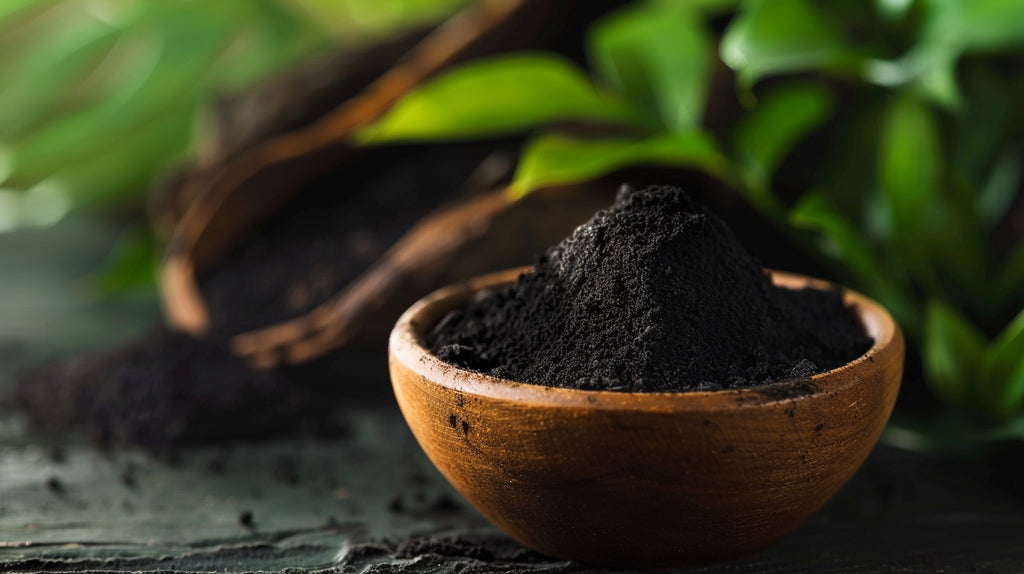 Human Humic Acid Exploring Humic Acid: History, Uses, and Interesting Facts - Codeage