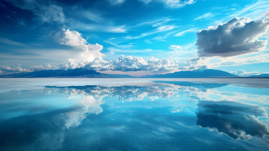 Lithium ingredients field supplement