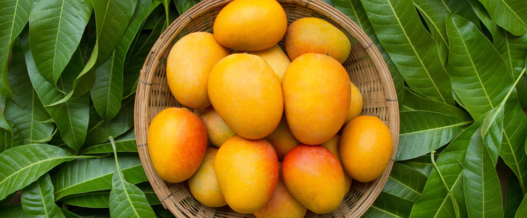 The Mighty Mango : centrale et supplément de bien-être de la nature 