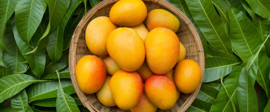 The Mighty Mango: Nature's Wellness Powerhouse and Supplement