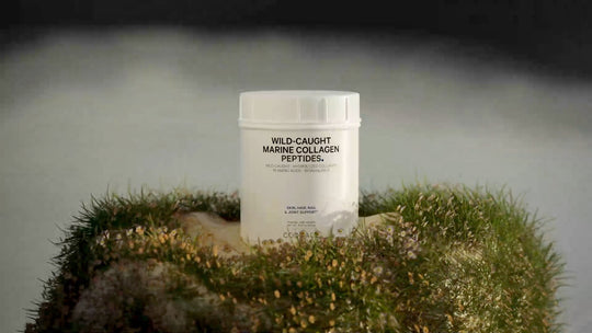 Polvo puro de colágeno marino capturado en la naturaleza con 18 aminoácidos