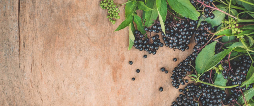 The Advanced Qualities of Organic Elderberries