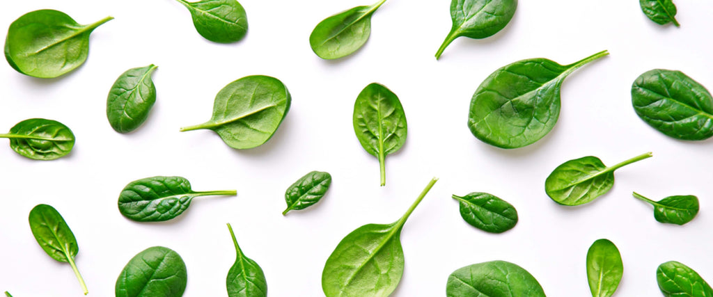 Spinach: The Super Green Champion of Health and Wellness