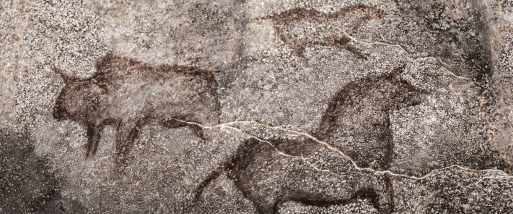 An Introduction to the Paleo Diet