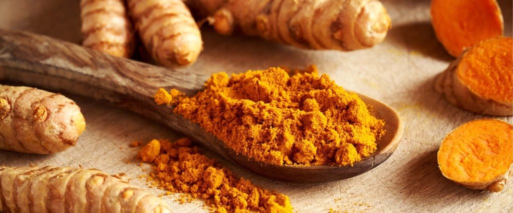 The History and Use of Turmeric Supplements: Unlocking the Potential of Curcumin