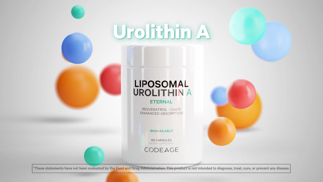 Urolithine A liposomale avec resvératrol, CoQ10 et bétaïne