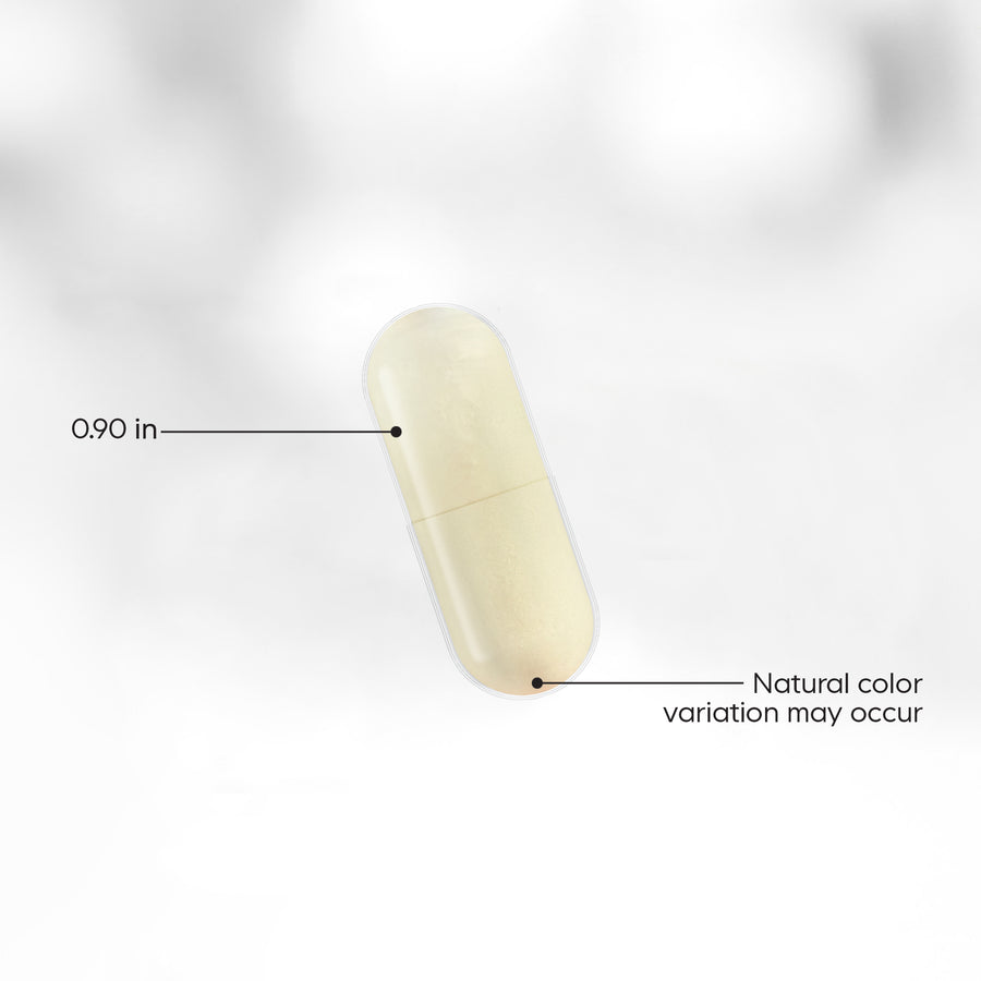 Amen Magnesium Citrate Vitamin B6 Magnesium Taurine Inulin Chicory Black Pepper Capsule