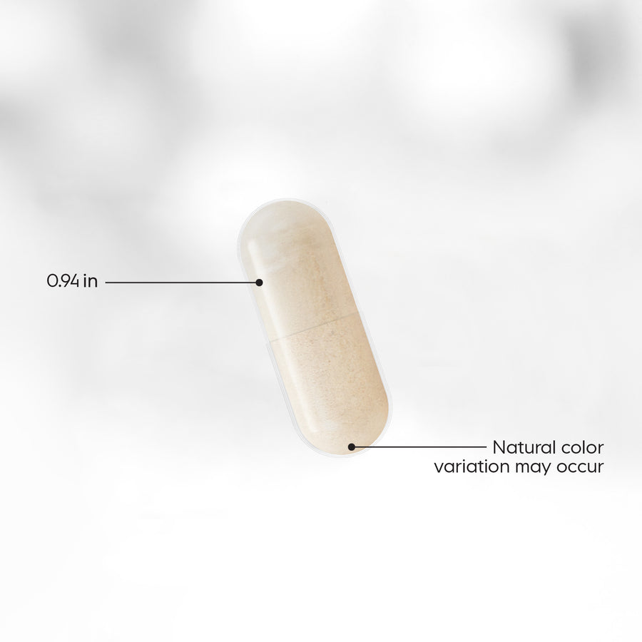 Amen Prebiotic Fiber+ Capsule Organic Chicory Root Inulin & Organic Acacia Fiber L-Glutamine Supplement