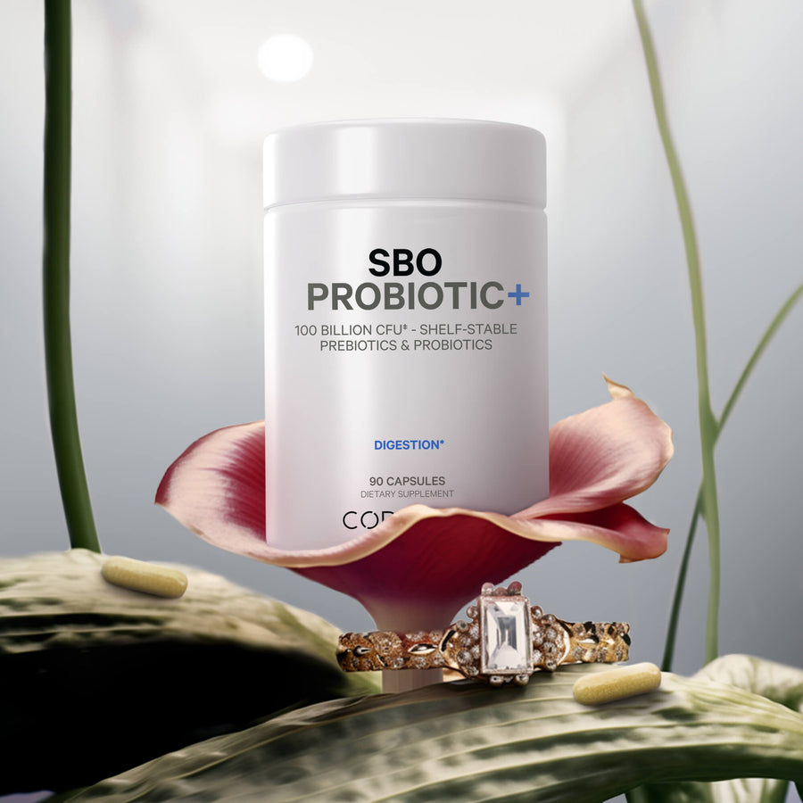 Codeage Probiotic SBO 100 Digestive Health Supplement Probiotics Prebiotics Whole Food Fermented Herbal Blend