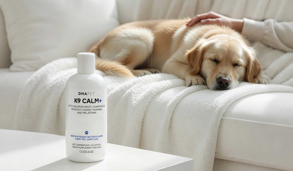 DNA PET K9 Calm+ liquid calming supplement for dogs with valerian root, chamomile, passion flower and melatonin.