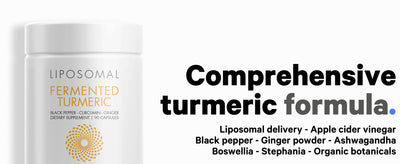 Fermented Turmeric Curcumin 95%
