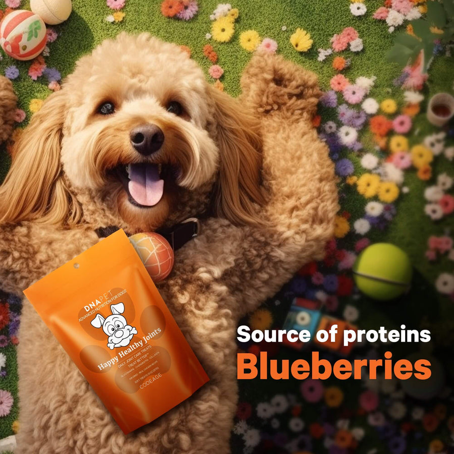 DNA PET Happy Healthy Joints Supplement for Dogs source of proteins