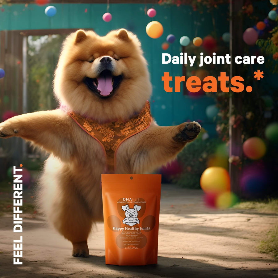 DNA PET Happy Healthy Joints Supplement for Dogs daily joint care treats puppies
