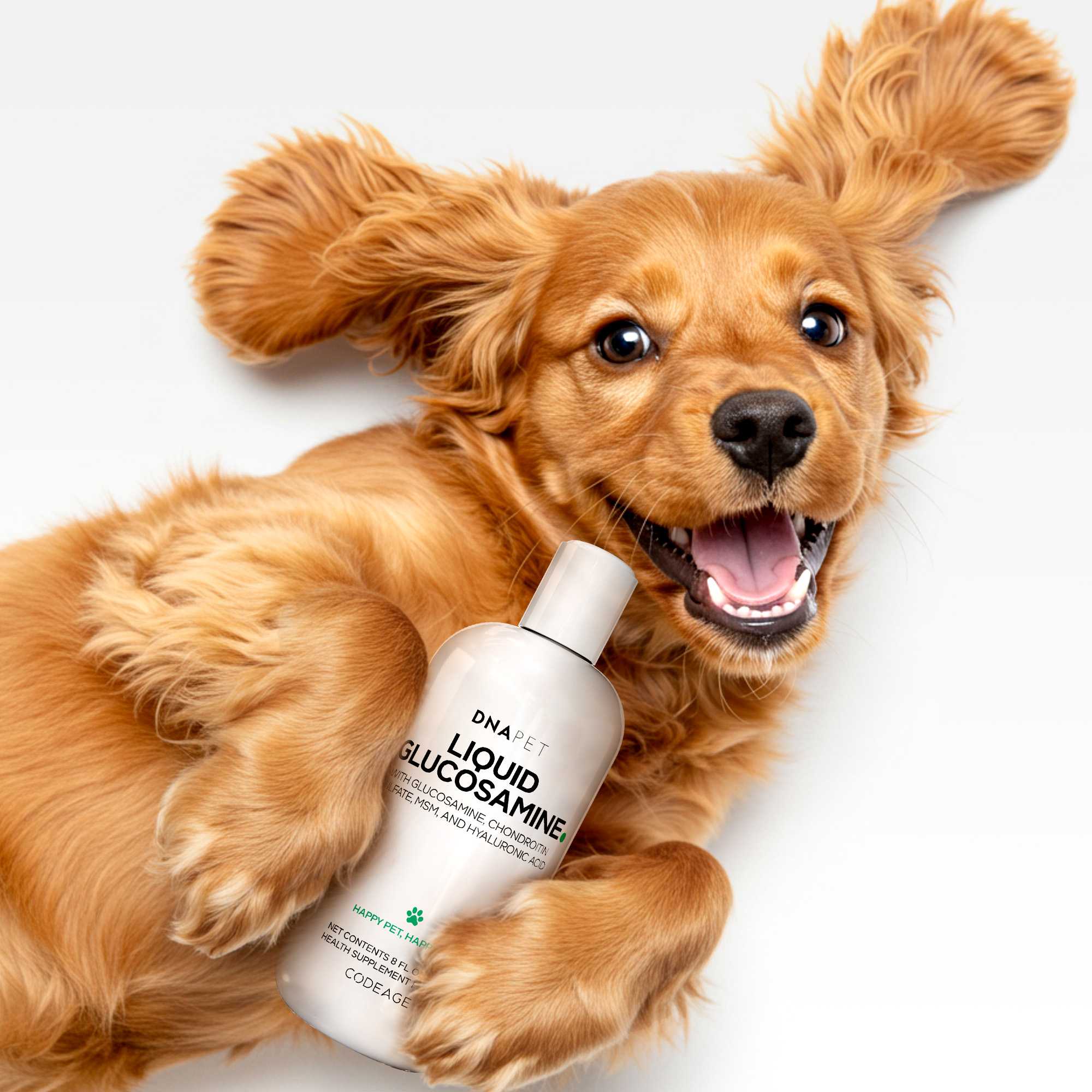 DNA Pet Liquid Glucosamine Chondroitin Supplement