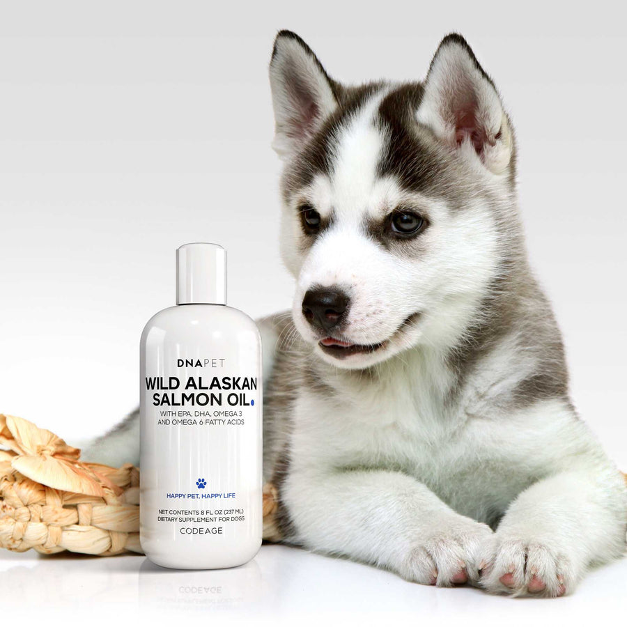 DNA PET Wild Alaskan Salmon Oil, Supplement for Dogs