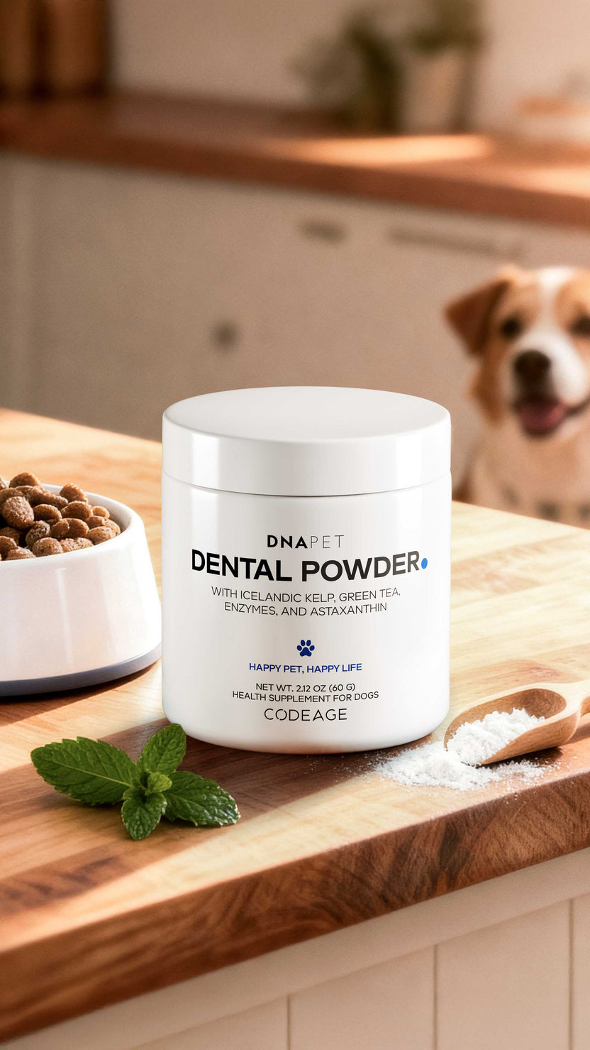 DNA PET Dental Powder - Oral Care Supplement For Dogs – Codeage