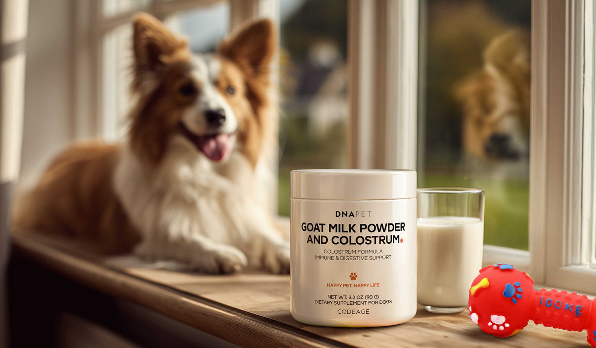 DNA PET Goat Milk and Bovine Colostrum Powder - Dog Animal Supplement ...