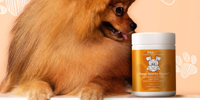 DNA PET Happy Healthy Organs For Dogs