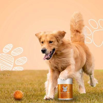 DNA PET Happy Healthy Organs For Dogs