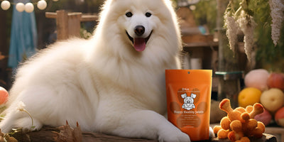 DNA PET Happy Healthy Joints Treats For Dogs