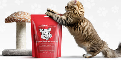 DNA PET Happy Healthy Muscles For Cats