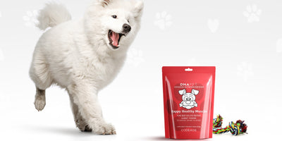 DNA PET Happy Healthy Muscles For Dogs