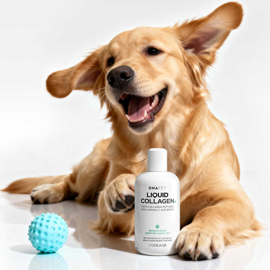 DNA PET Liquid Collagen supplement for dogs