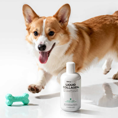DNA PET Liquid Collagen