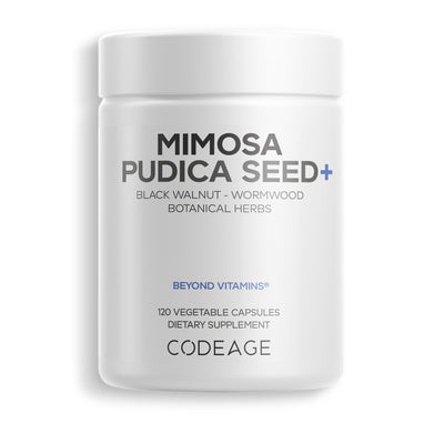 Mimosa Pudica Seed + Capsules