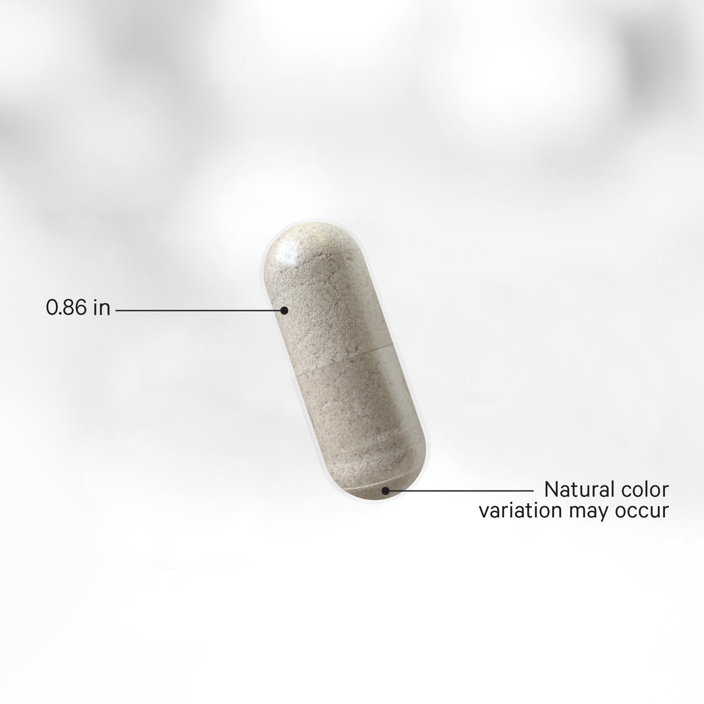 Codeage Mimosa Pudica Supplement Close Up Capsule