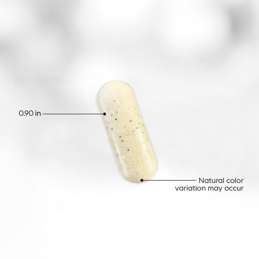 Codeage Multivitamin NAD+ Supplement 30ct Vit A C D3 B Complex ALA K2 Capsule