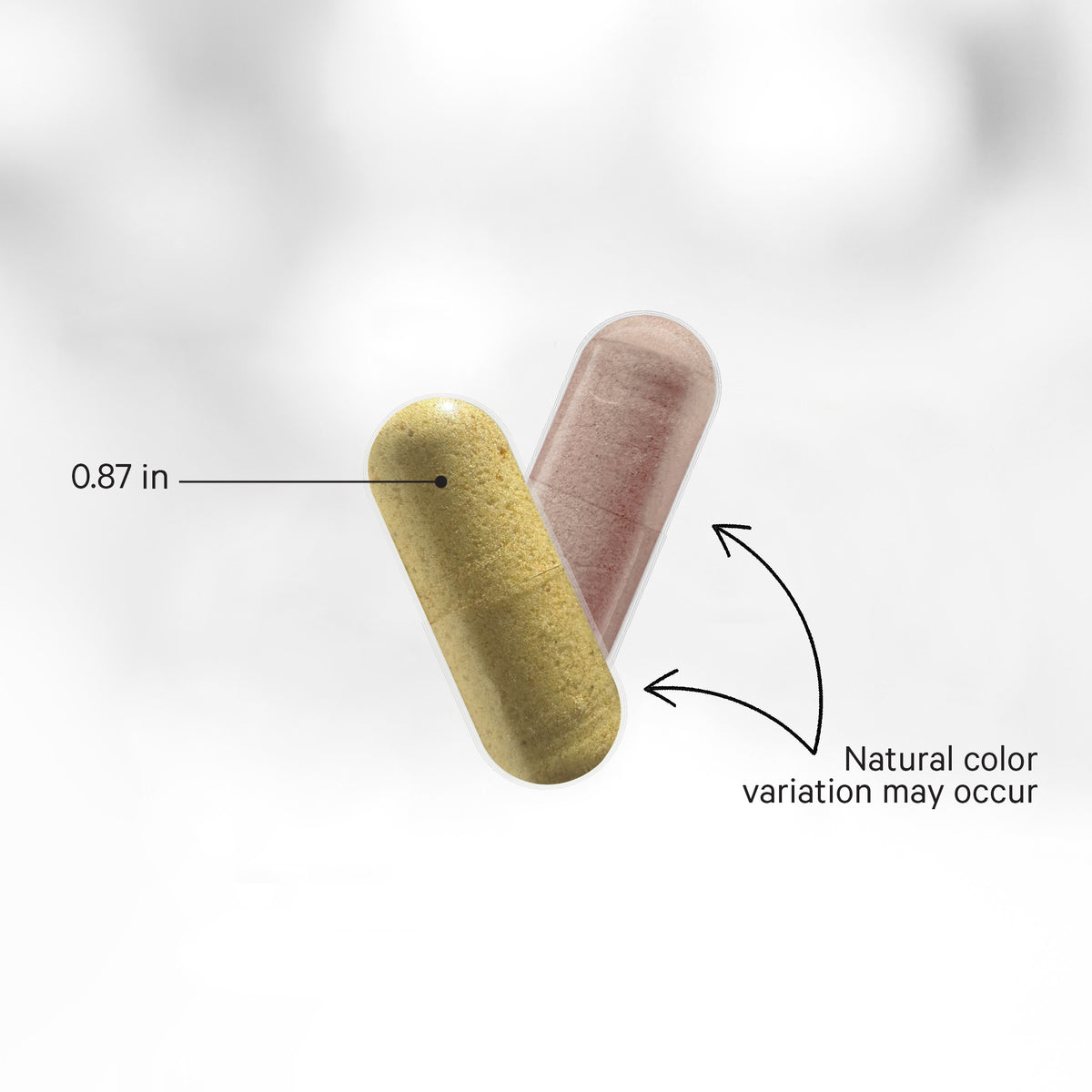 SBO 50 capsules