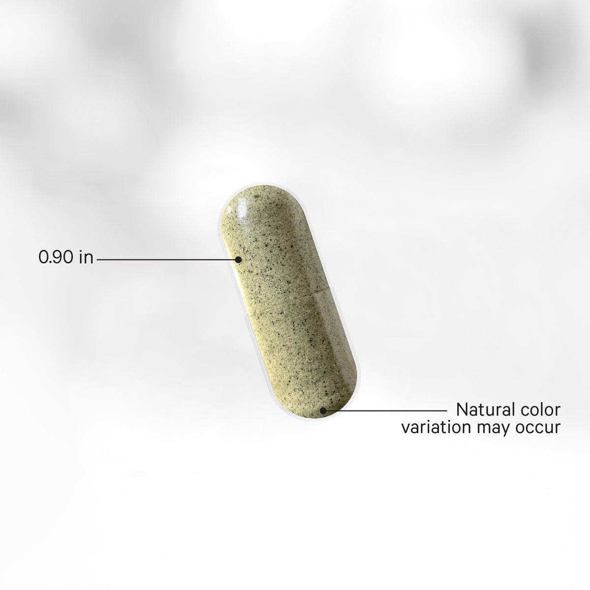 Codeage Canada Wildcrafted Sea Moss Supplement Capsule