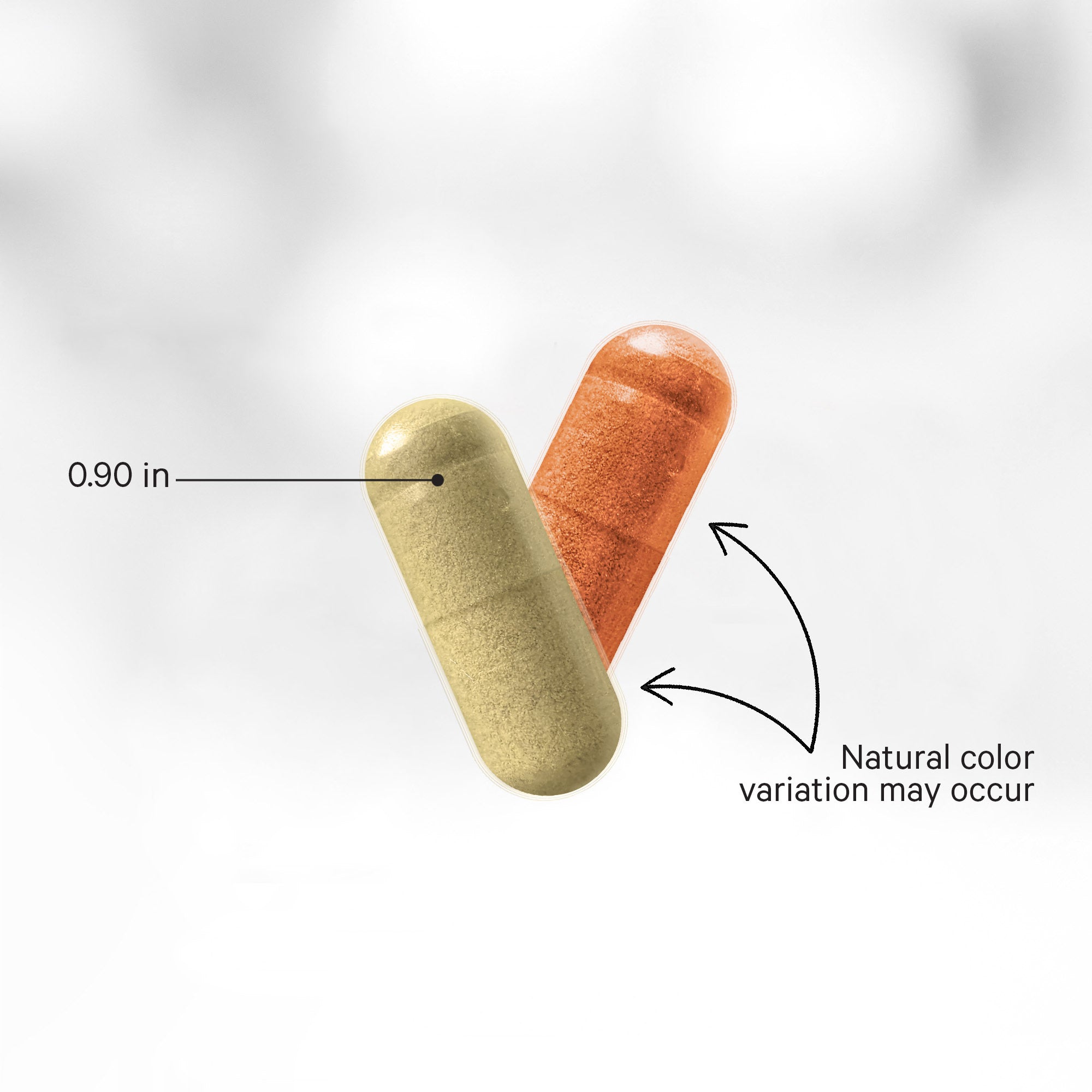 Joint health supplements bones capsule collagen undenatured
